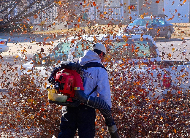 Low Frequency Noise May Account for the Intolerability of Gas Leaf Blowers
