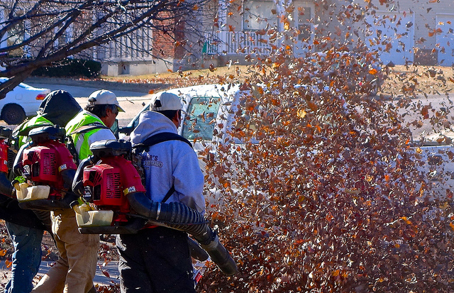 Quiet Victory: D.C. bans gas-powered leaf blowers