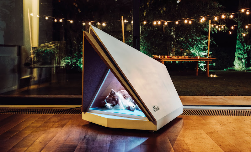 Ford designs noise-proof kennels for noise-hating dogs