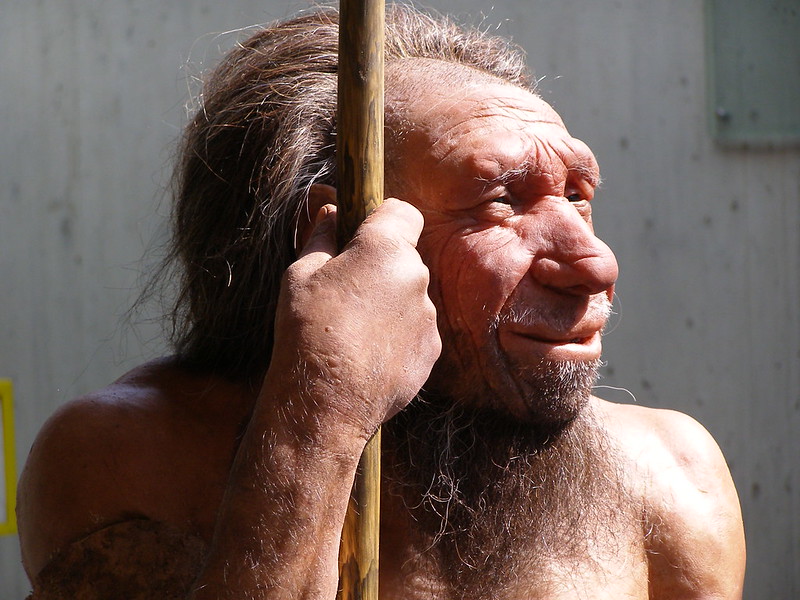 Neanderthals could hear as well as modern humans