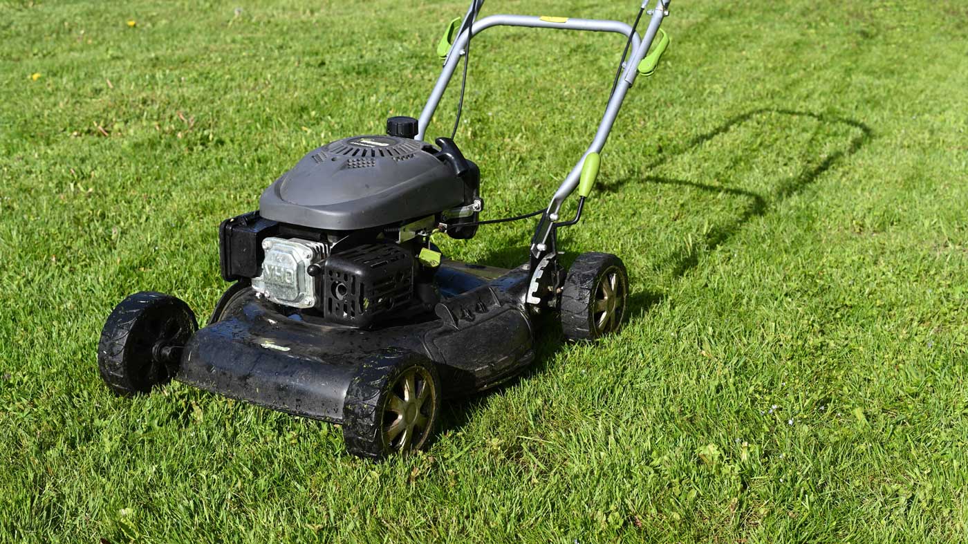 California set to become first state to ban gasoline-powered lawn equipment
