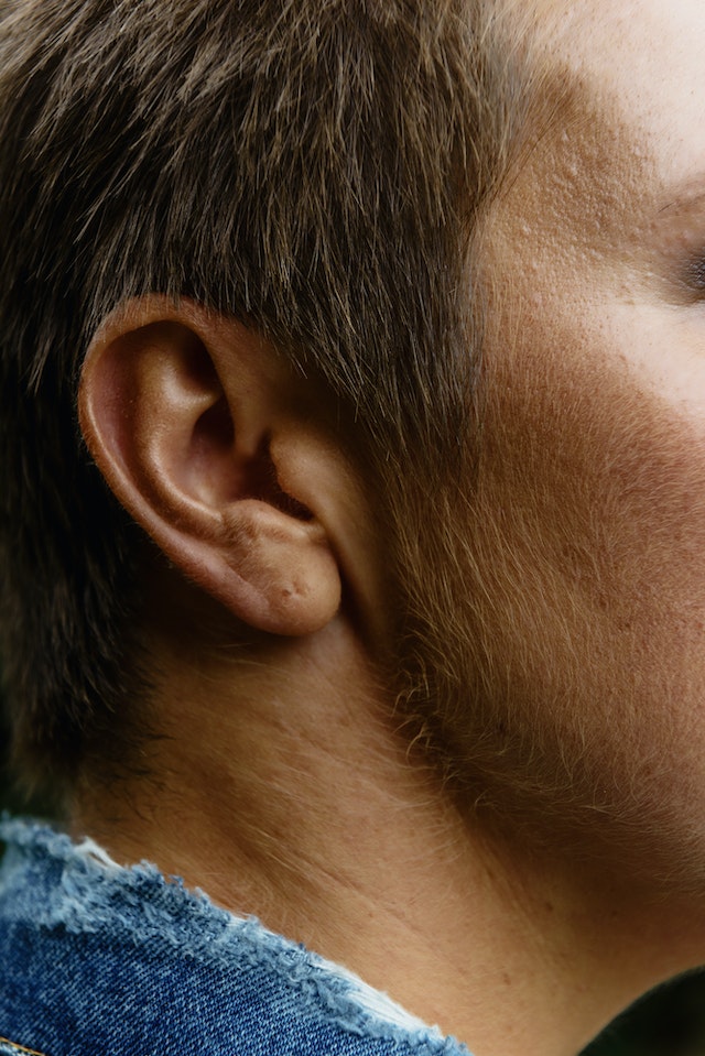 Can a single protein slow down age-related hearing loss?