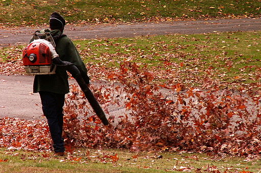 Gas leaf blower and lawn mower bans are beginning to spread