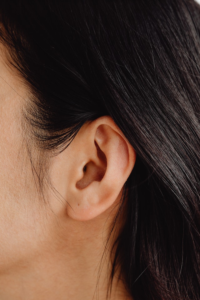 Scientists regenerate cochlear hair cells