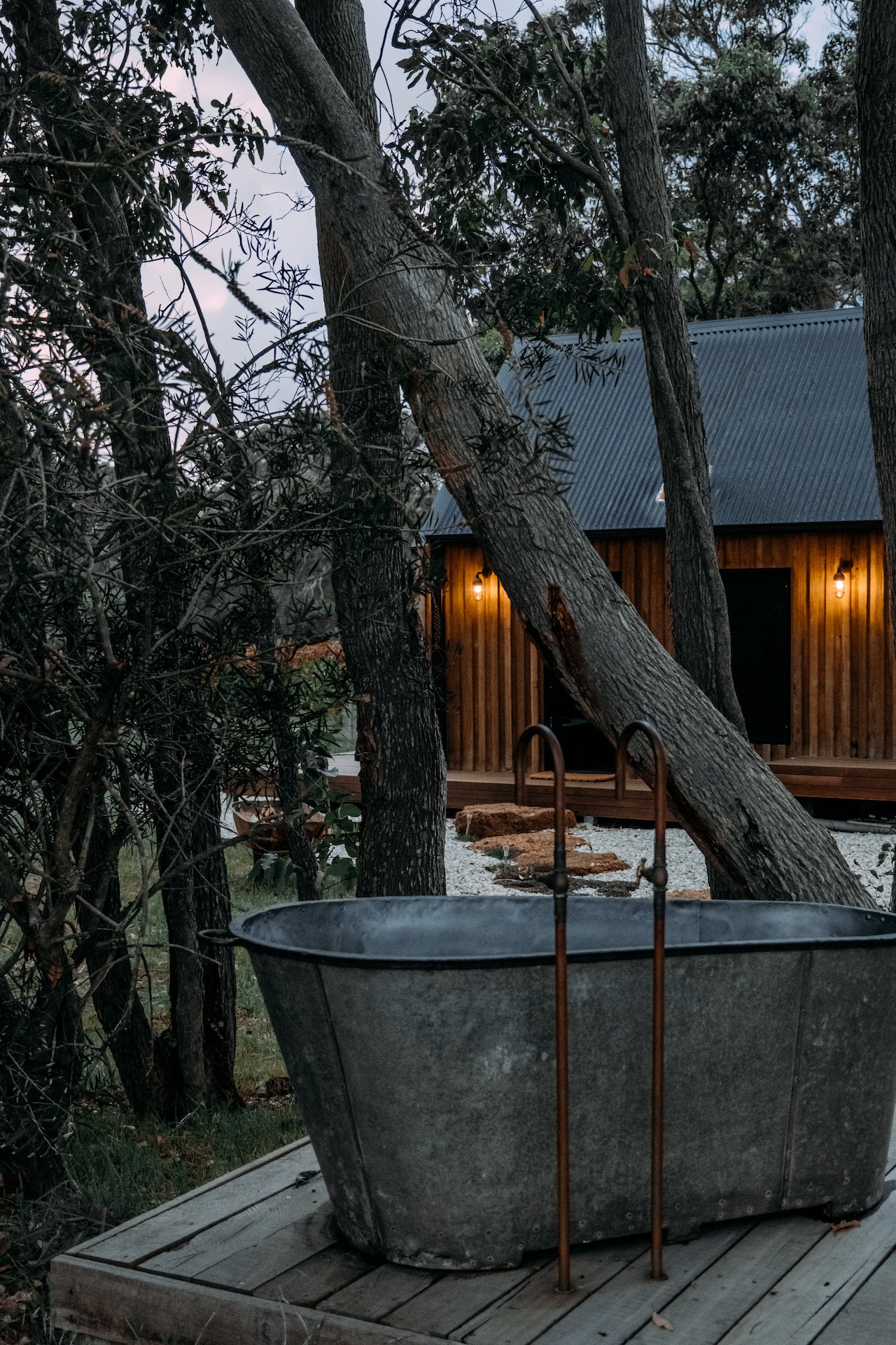 The magic of forest baths