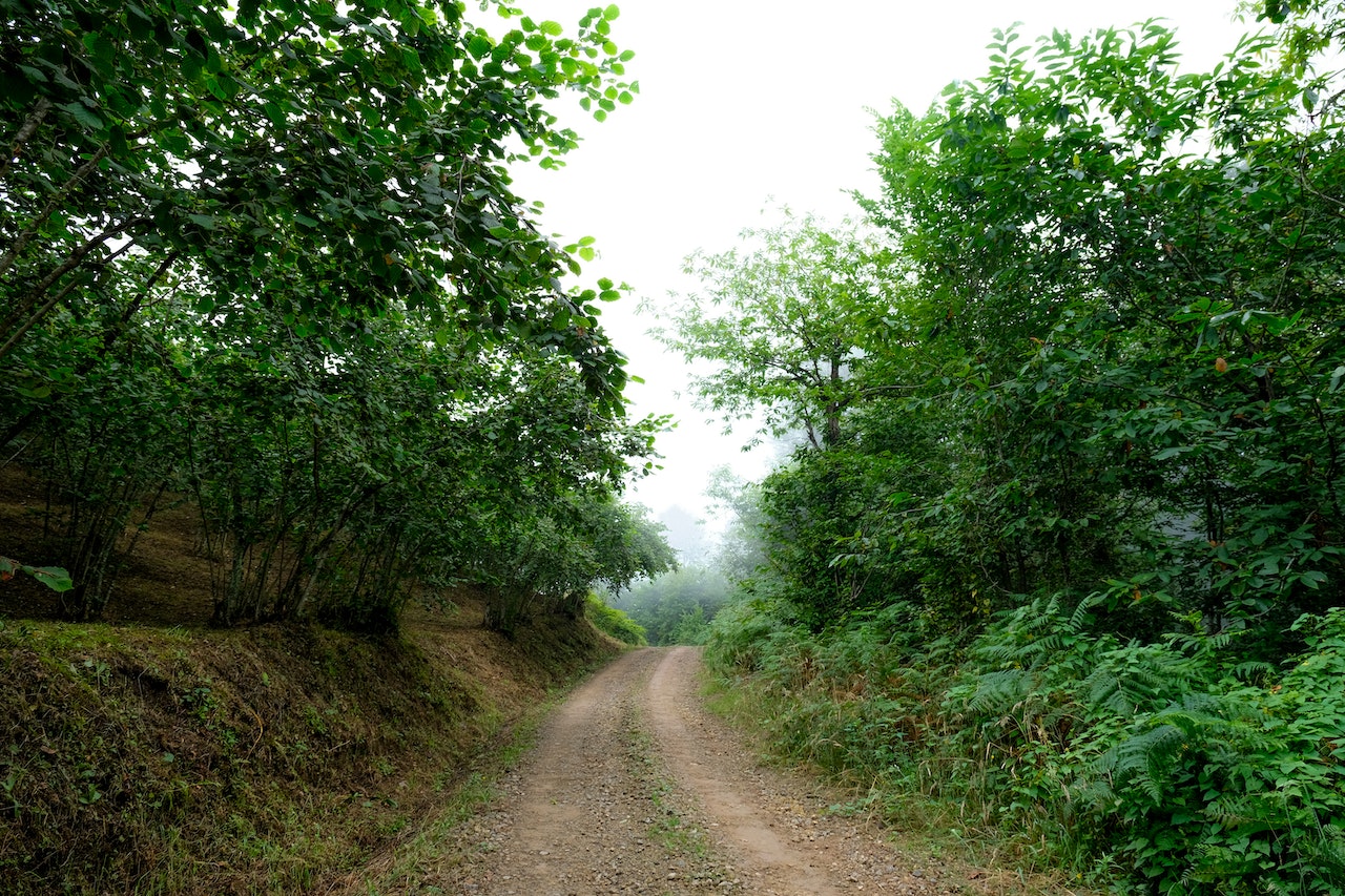 lonely road