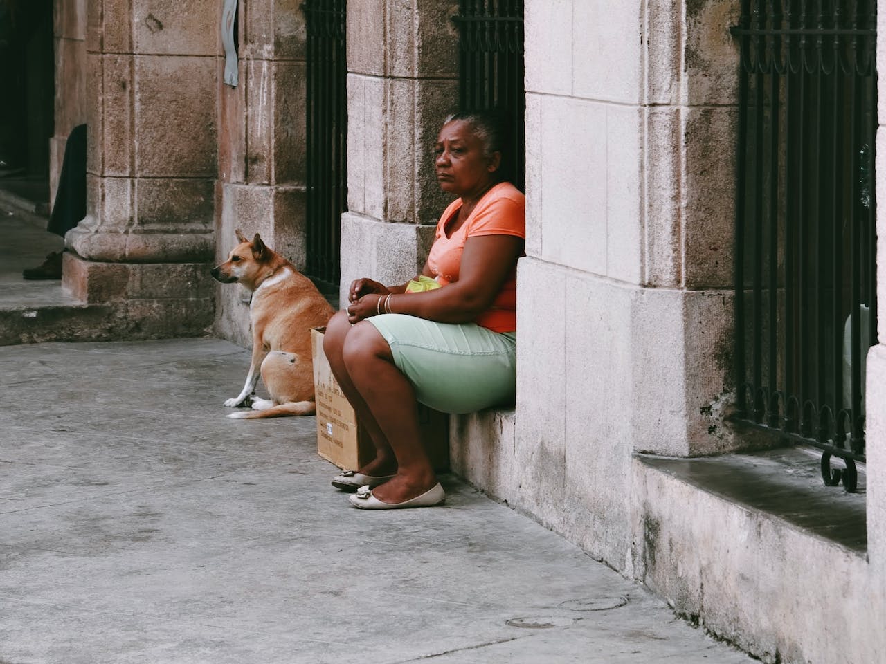 Urban noise pollution harms people and wildlife