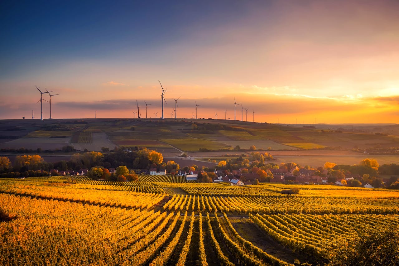 Rural residents have worse hearing than urban counterparts
