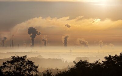 25-year study shows that pollution affects mental health