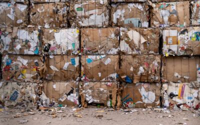 Connecticut orders recycling plant to cut noise