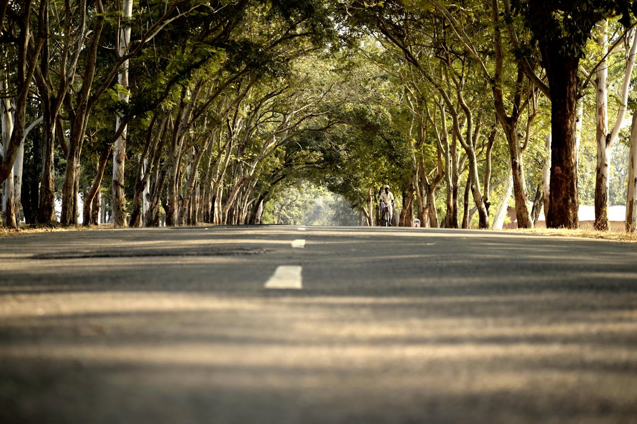 People want noise violation enforcement